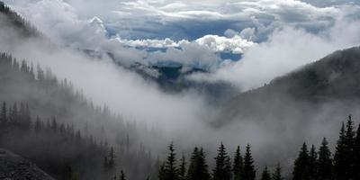 A report from some businesses